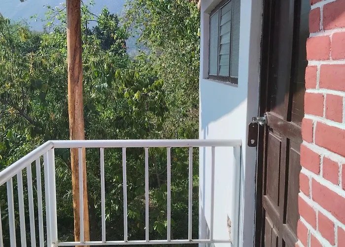 Eco Perales-urubamba