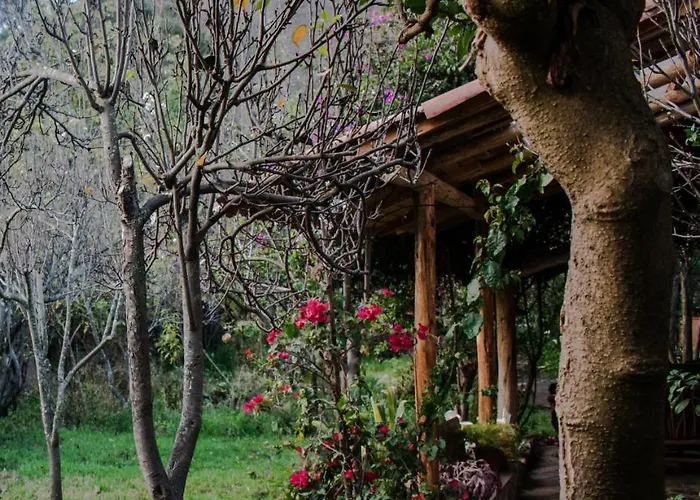 イン Eco Perales-urubamba